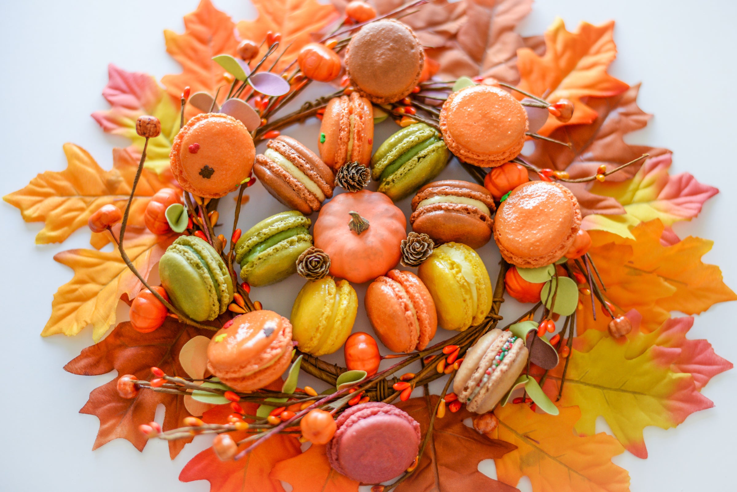 Le Macaron Tampa Wesley Chapel Authentic French Pastries Online Le